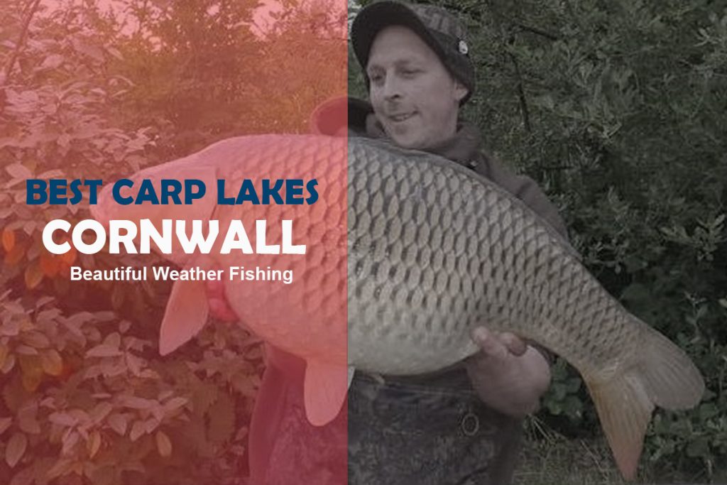 The 10 Best Carp Lakes in Cornwall (Specimen Fishing) Fishing Tackle
