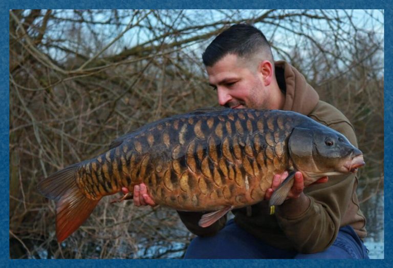 What Is A Mirror Carp The Ultimate Carp Species of Fish Fishing