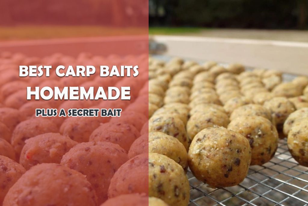 Best Homemade Carp Bait Top Recipes To land More Fish Fishing Tackle Setup Tips & Guides