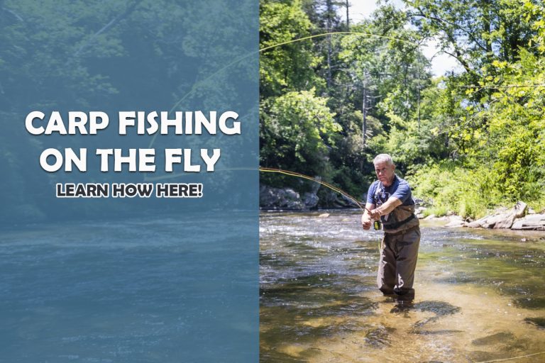 Carp Fishing on the Fly What You Must know! Fishing Tackle Setup