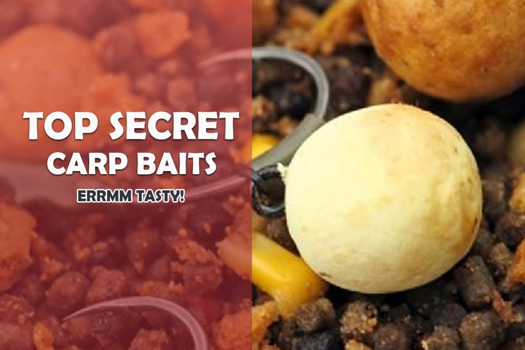 8 Top Secret Carp Baits Unlocking the Secrets To Land More Fish